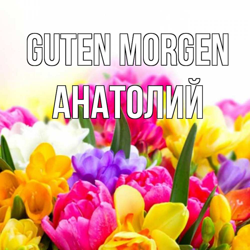 Открытка на каждый день с именем, Анатолий Guten Morgen создать открытку со свое подписью Прикольная открытка с пожеланием онлайн скачать бесплатно 