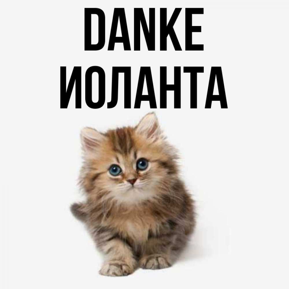 Открытка на каждый день с именем, Иоланта Danke пушистый котик Прикольная открытка с пожеланием онлайн скачать бесплатно 