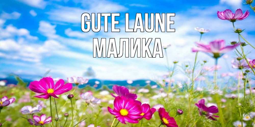 Открытка на каждый день с именем, Малика Gute Laune поле цветов Прикольная открытка с пожеланием онлайн скачать бесплатно 