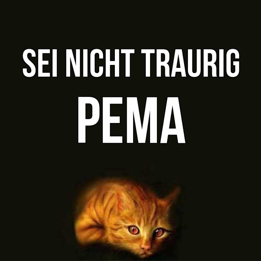 Открытка на каждый день с именем, Рема Sei nicht traurig лежащий кот в темноте Прикольная открытка с пожеланием онлайн скачать бесплатно 
