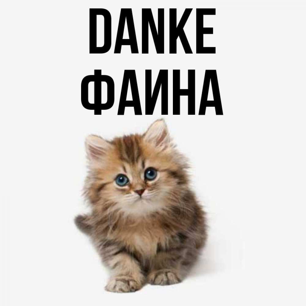 Открытка на каждый день с именем, Фаина Danke пушистый котик Прикольная открытка с пожеланием онлайн скачать бесплатно 