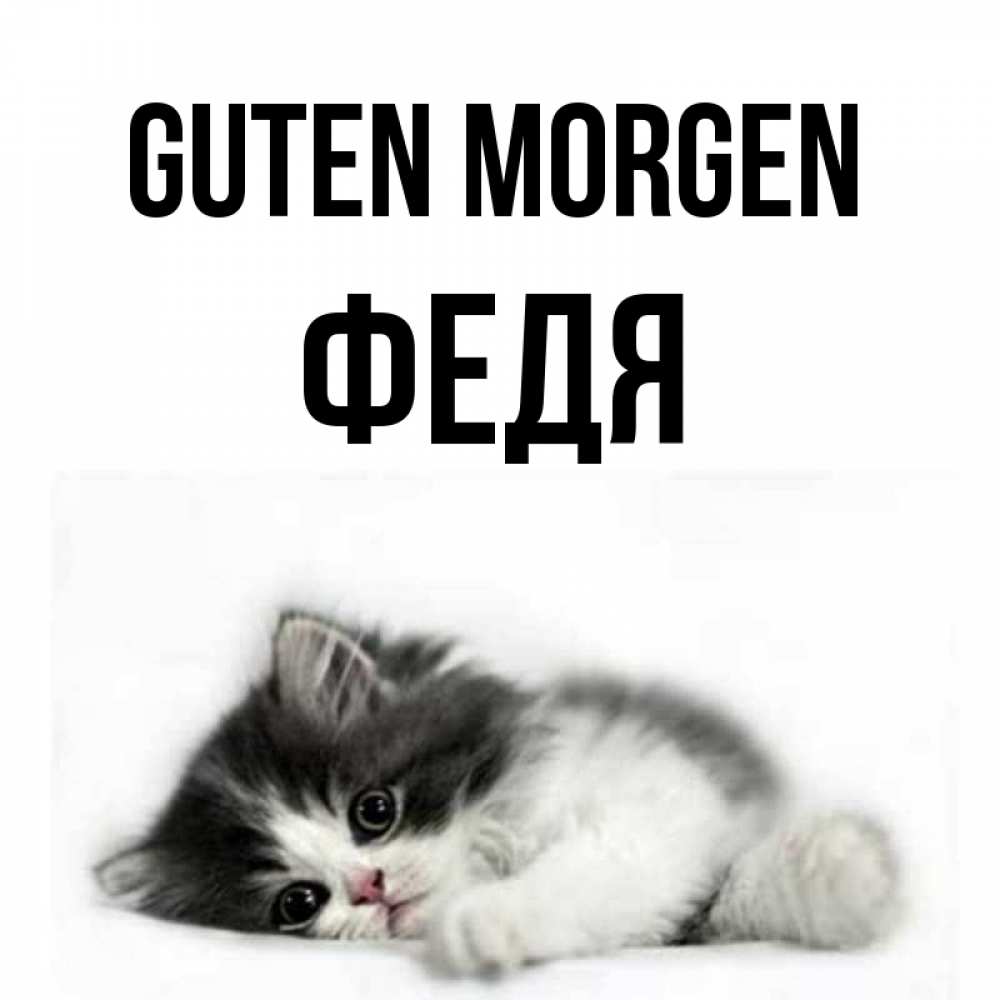 Открытка на каждый день с именем, Федя Guten Morgen кот лапки Прикольная открытка с пожеланием онлайн скачать бесплатно 