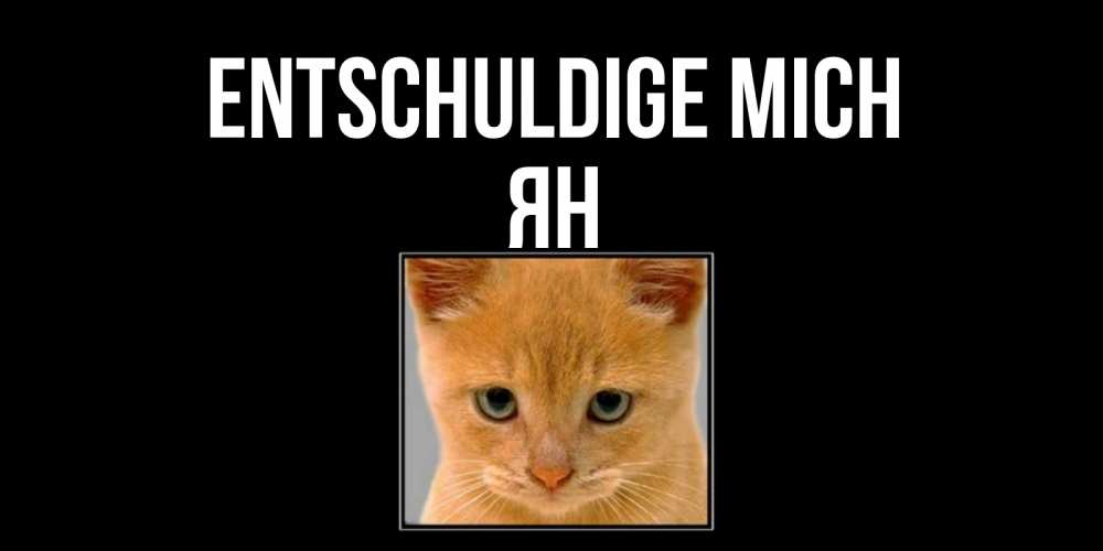 Открытка на каждый день с именем, Ян Entschuldige mich рыжий грустный кот просит прощения Прикольная открытка с пожеланием онлайн скачать бесплатно 