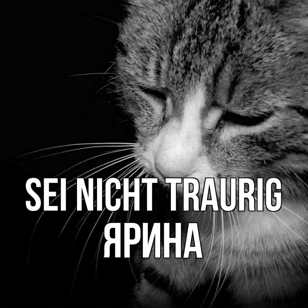 Открытка на каждый день с именем, Ярина Sei nicht traurig грустный котик Прикольная открытка с пожеланием онлайн скачать бесплатно 