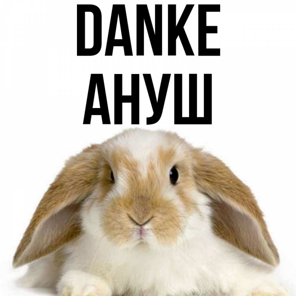 Открытка на каждый день с именем, Ануш Danke коричнево белый заяц Прикольная открытка с пожеланием онлайн скачать бесплатно 