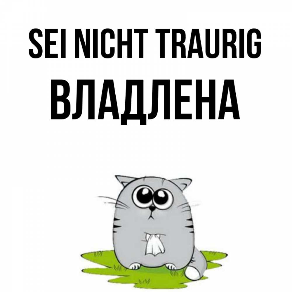 Открытка на каждый день с именем, Владлена Sei nicht traurig грустный котяра Прикольная открытка с пожеланием онлайн скачать бесплатно 
