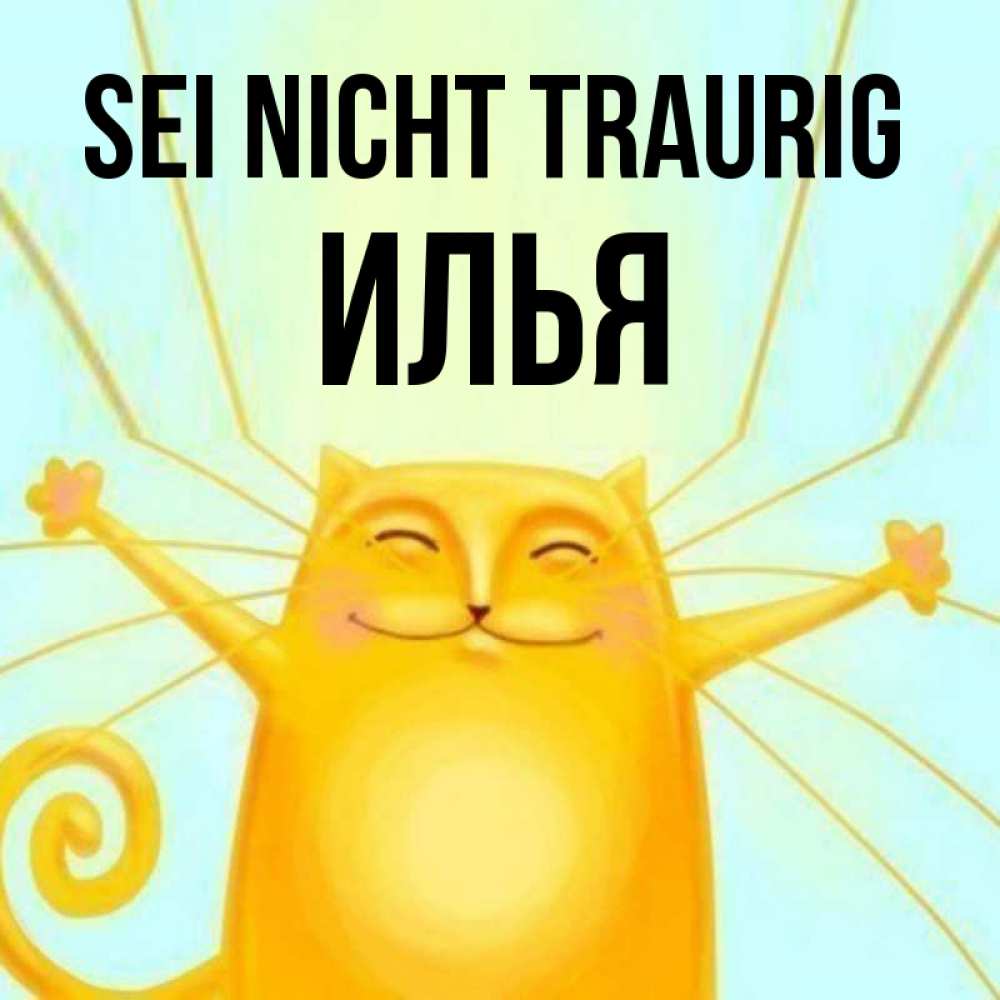 Открытка на каждый день с именем, Илья Sei nicht traurig обнимашки усатые Прикольная открытка с пожеланием онлайн скачать бесплатно 