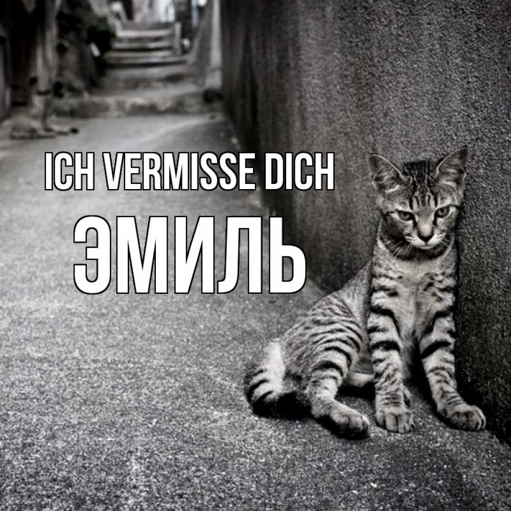 Открытка на каждый день с именем, Эмиль Ich vermisse dich одиноко котику Прикольная открытка с пожеланием онлайн скачать бесплатно 