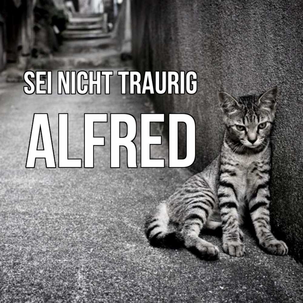 Открытка на каждый день с именем, Alfred Sei nicht traurig скучающий котик Прикольная открытка с пожеланием онлайн скачать бесплатно 