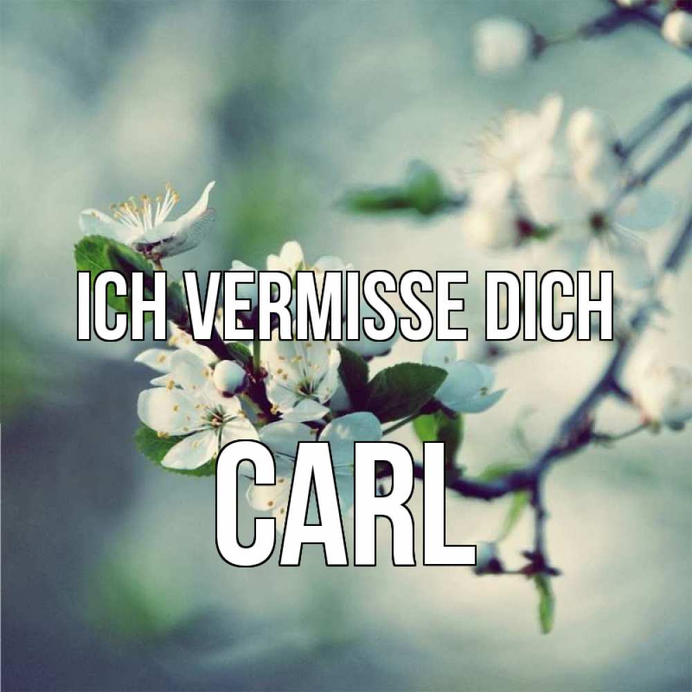 Открытка на каждый день с именем, Carl Ich vermisse dich весна Прикольная открытка с пожеланием онлайн скачать бесплатно 