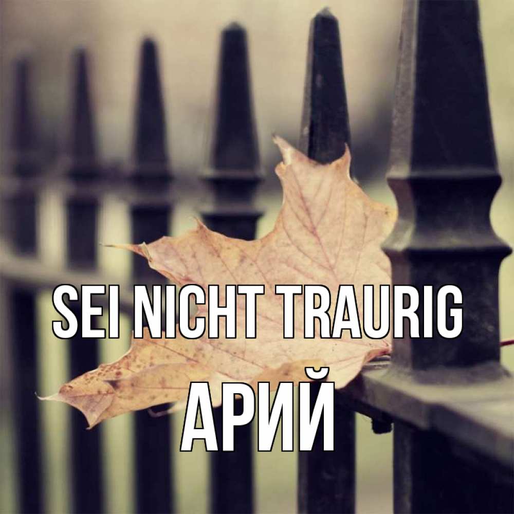 Открытка на каждый день с именем, Арий Sei nicht traurig лист клена Прикольная открытка с пожеланием онлайн скачать бесплатно 