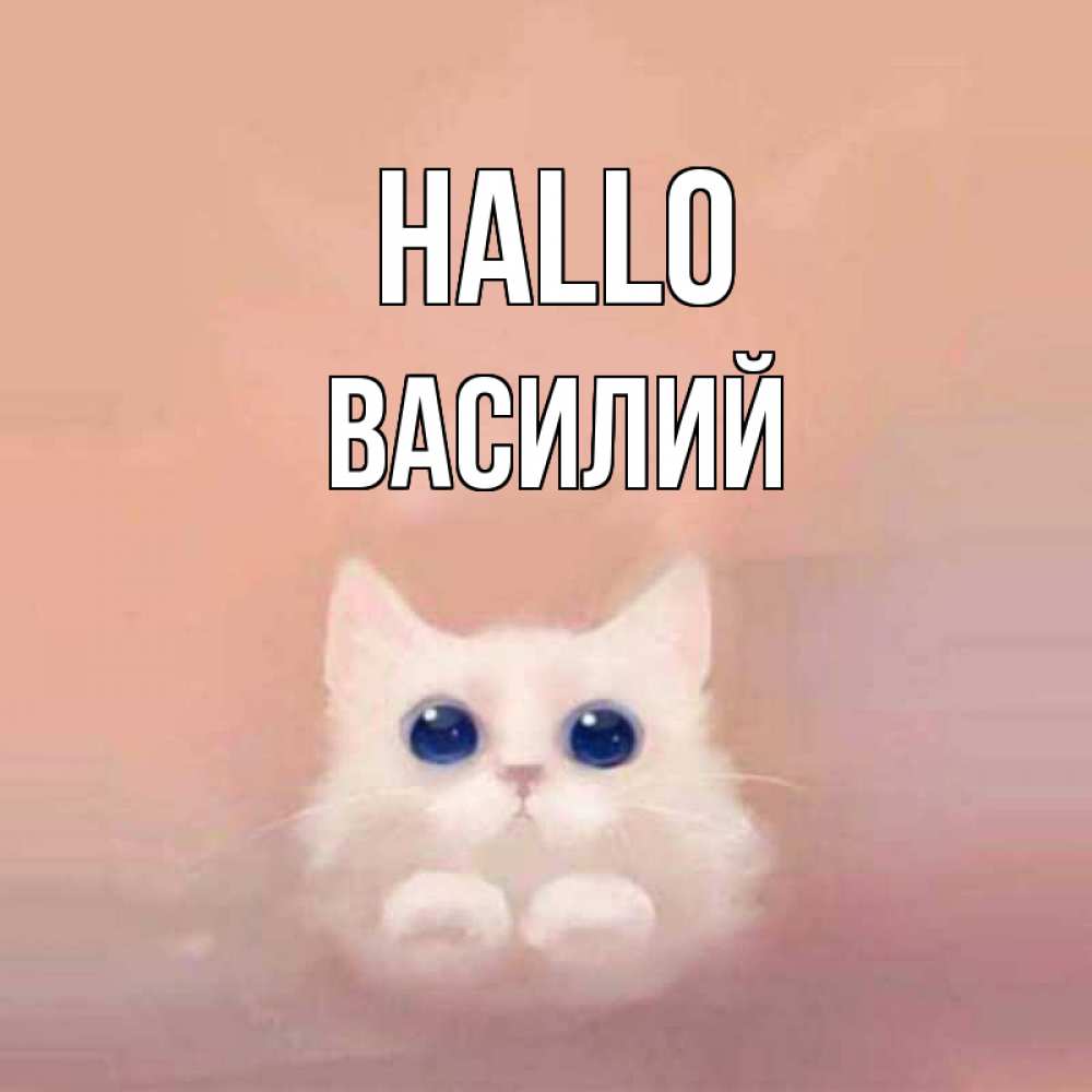 Открытка на каждый день с именем, Василий Hallo котик белый в полете Прикольная открытка с пожеланием онлайн скачать бесплатно 