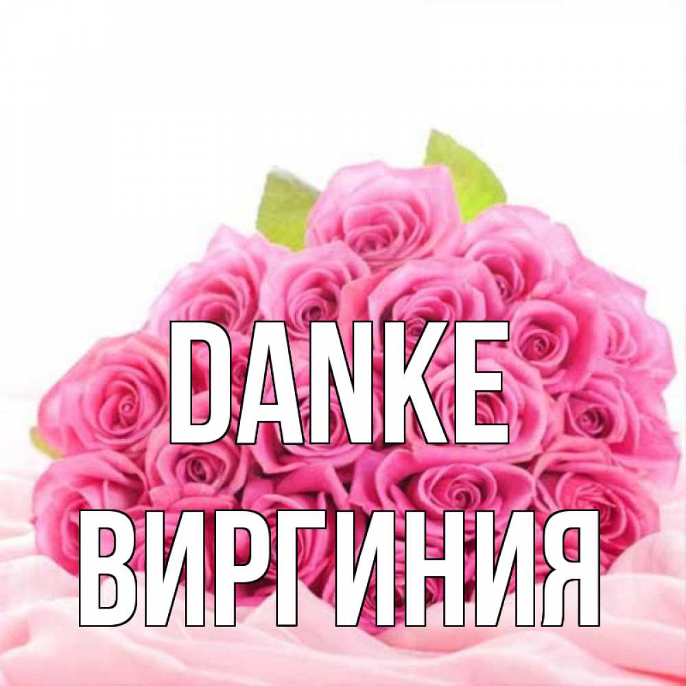 Открытка на каждый день с именем, Виргиния Danke розовые розы с подписью Прикольная открытка с пожеланием онлайн скачать бесплатно 