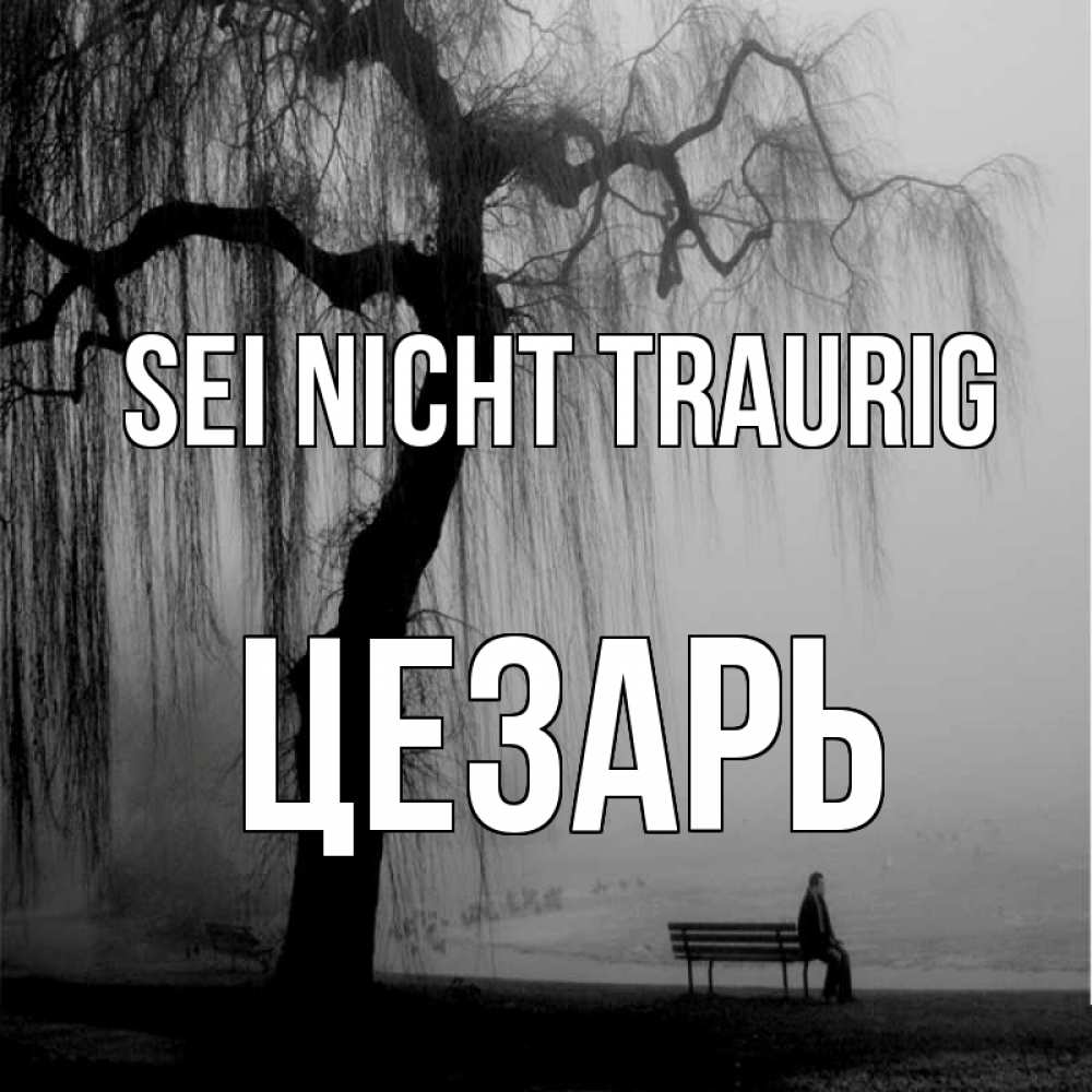 Открытка на каждый день с именем, Цезарь Sei nicht traurig висящие ветки дерева и лавочка под деревом Прикольная открытка с пожеланием онлайн скачать бесплатно 