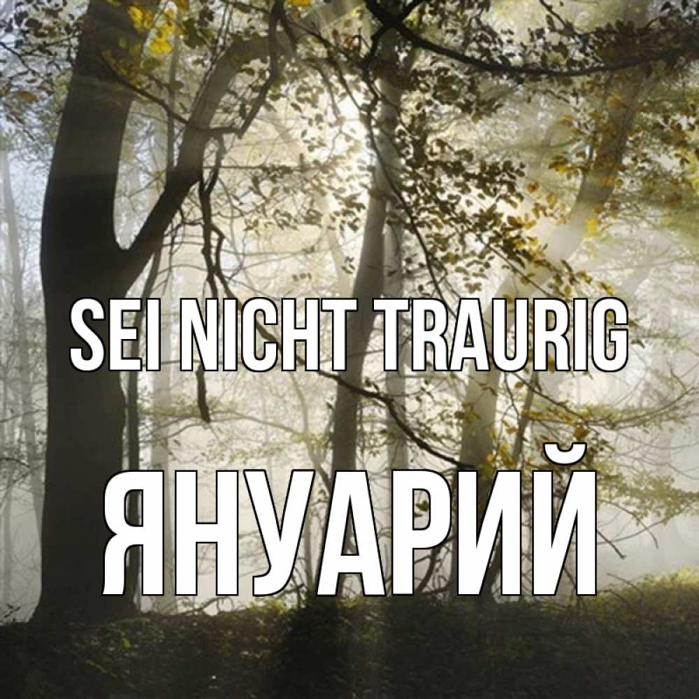Открытка на каждый день с именем, Януарий Sei nicht traurig лес и свет Прикольная открытка с пожеланием онлайн скачать бесплатно 
