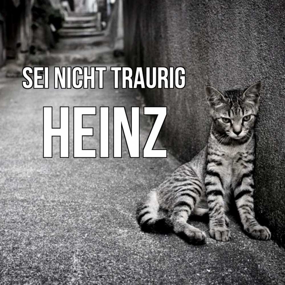 Открытка на каждый день с именем, Heinz Sei nicht traurig скучающий котик Прикольная открытка с пожеланием онлайн скачать бесплатно 