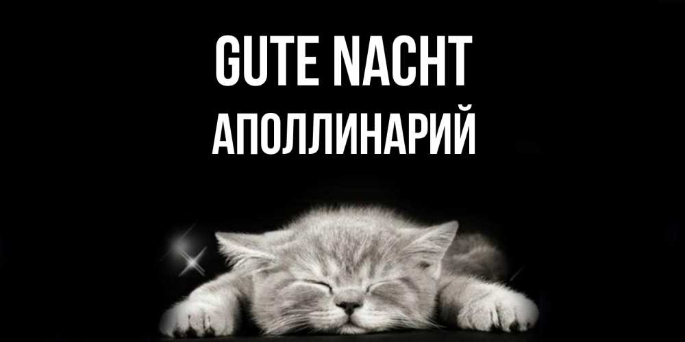 Открытка на каждый день с именем, Аполлинарий Gute Nacht спящий котик Прикольная открытка с пожеланием онлайн скачать бесплатно 