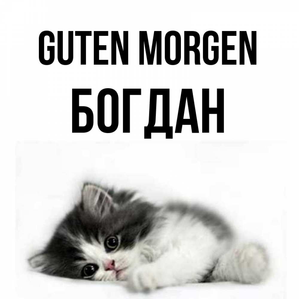 Открытка на каждый день с именем, Богдан Guten Morgen кот лапки Прикольная открытка с пожеланием онлайн скачать бесплатно 