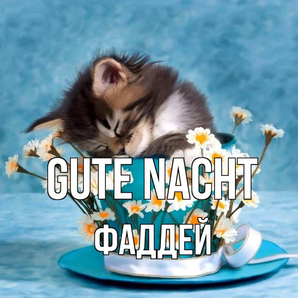 Открытка на каждый день с именем, Фаддей Gute Nacht котенок спит в кружке с блюдцем Прикольная открытка с пожеланием онлайн скачать бесплатно 