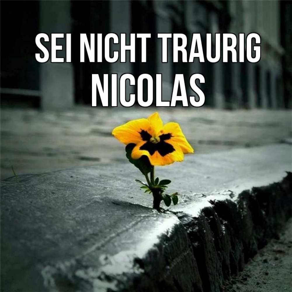Открытка на каждый день с именем, Nicolas Sei nicht traurig не сдавайся Прикольная открытка с пожеланием онлайн скачать бесплатно 