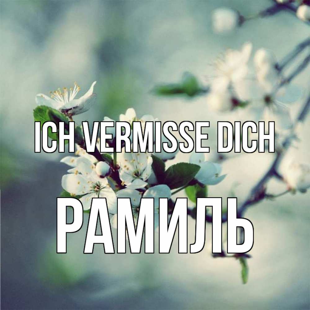 Открытка на каждый день с именем, Рамиль Ich vermisse dich весна Прикольная открытка с пожеланием онлайн скачать бесплатно 