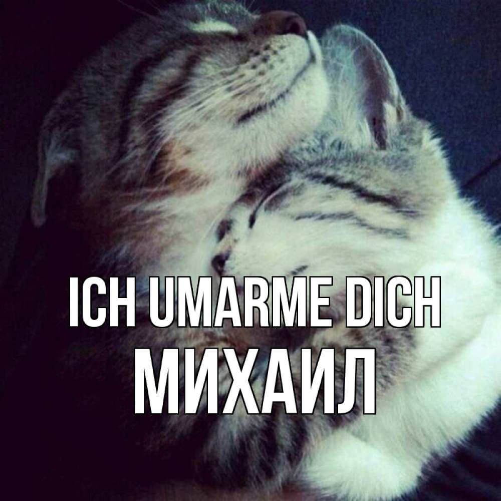 Открытка на каждый день с именем, Михаил Ich umarme dich полосатики Прикольная открытка с пожеланием онлайн скачать бесплатно 