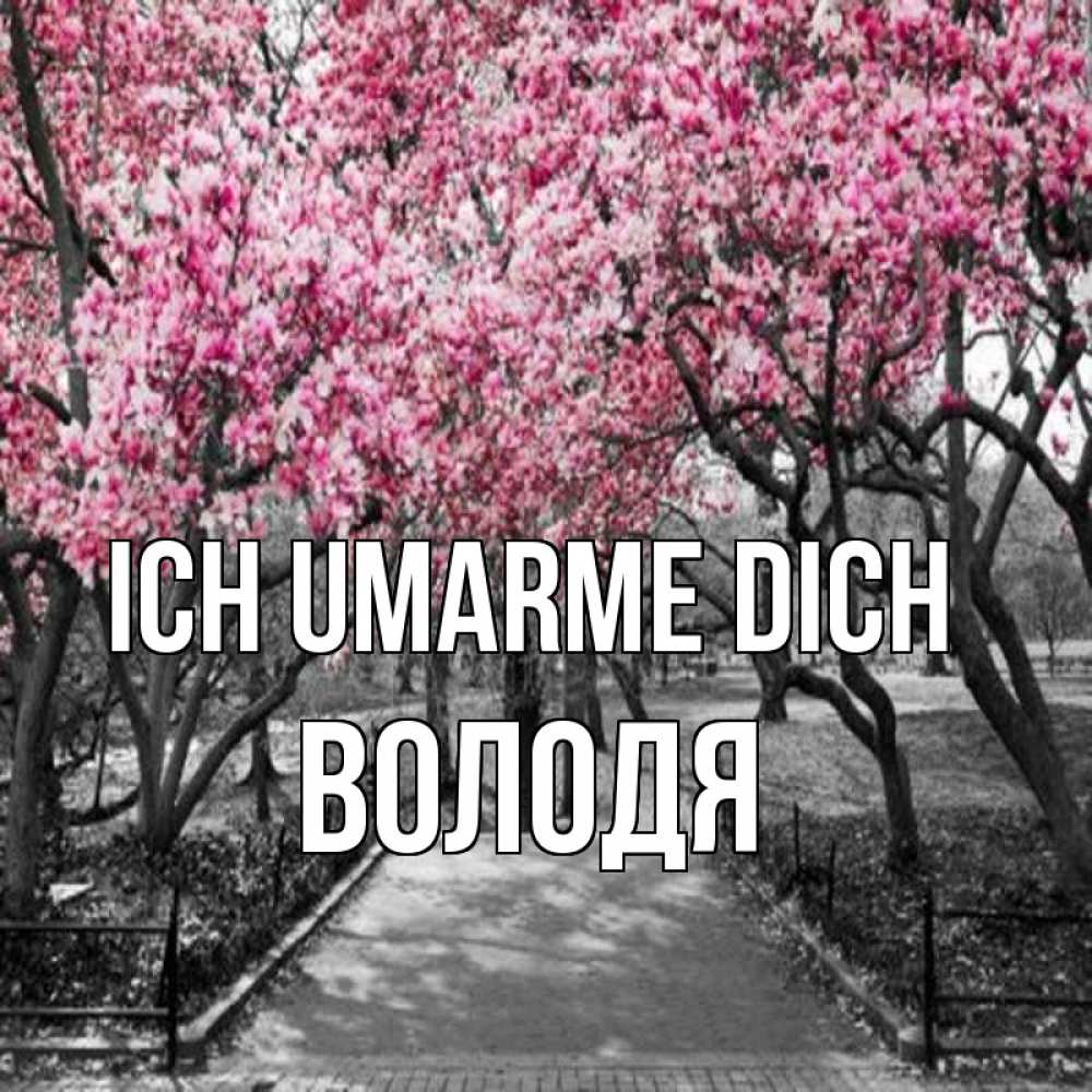 Открытка на каждый день с именем, Володя Ich umarme dich обработанное фото Прикольная открытка с пожеланием онлайн скачать бесплатно 