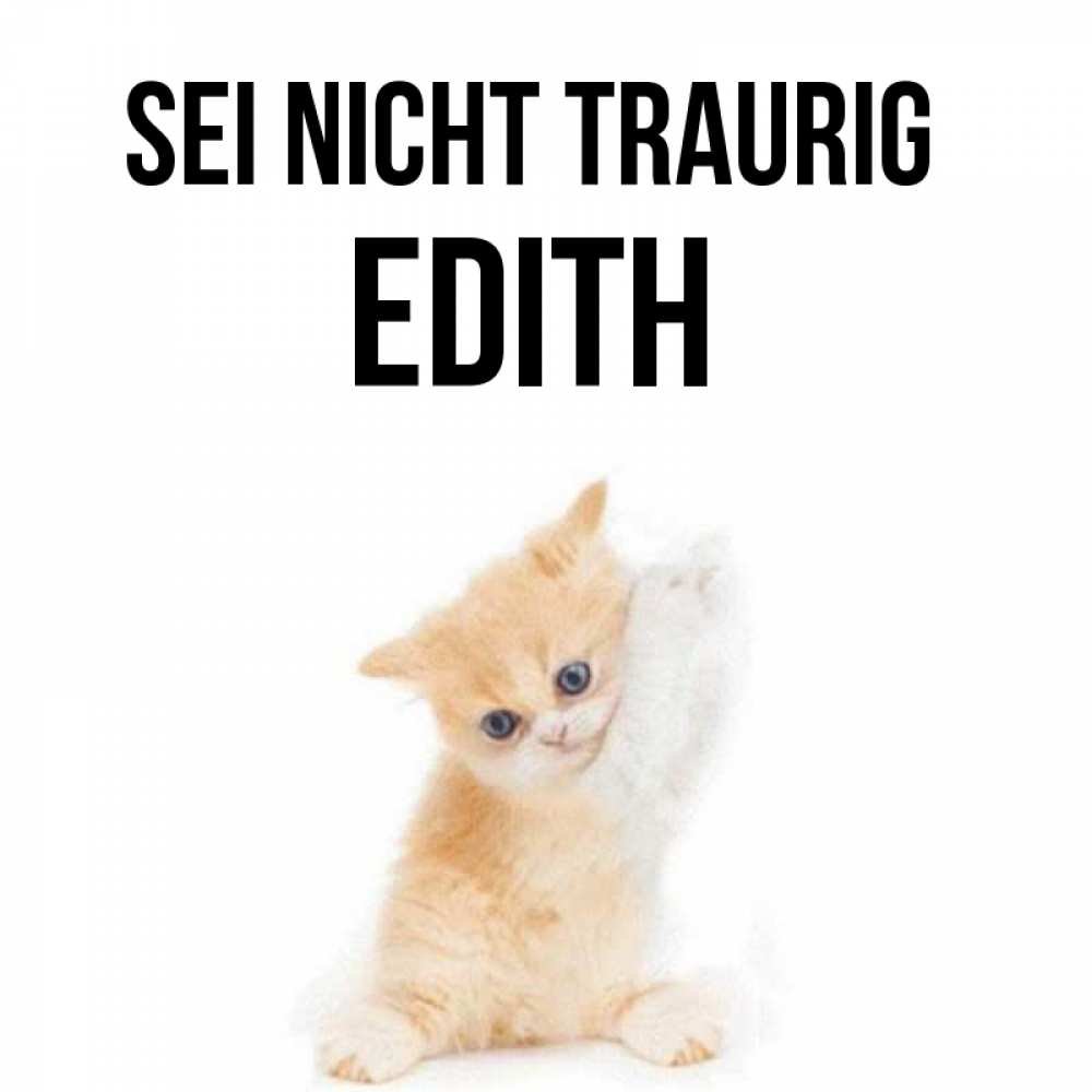 Открытка на каждый день с именем, Edith Sei nicht traurig просящий кот Прикольная открытка с пожеланием онлайн скачать бесплатно 