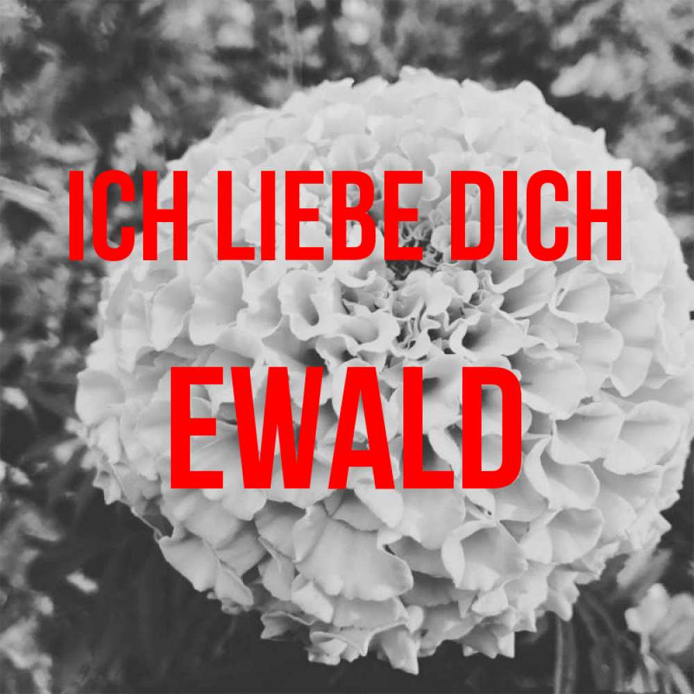 Открытка на каждый день с именем, Ewald Ich liebe dich подпись Прикольная открытка с пожеланием онлайн скачать бесплатно 
