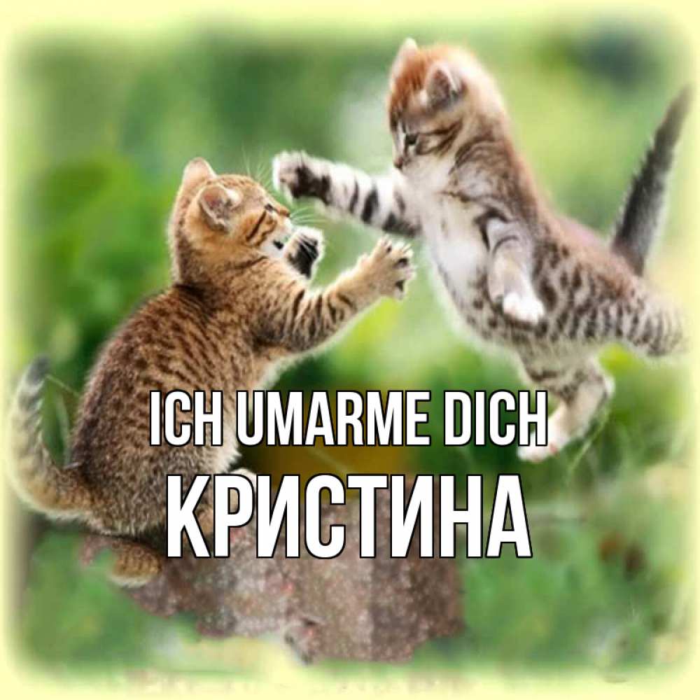 Открытка на каждый день с именем, Кристина Ich umarme dich игры котят Прикольная открытка с пожеланием онлайн скачать бесплатно 