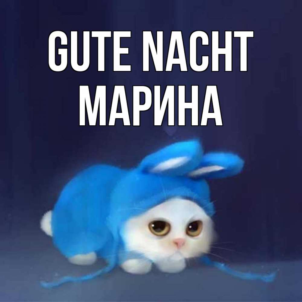 Открытка на каждый день с именем, Марина Gute Nacht кот в голубом костюме кролика с ушками Прикольная открытка с пожеланием онлайн скачать бесплатно 
