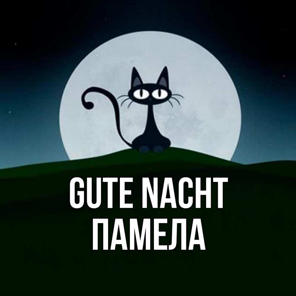 Открытка на каждый день с именем, Памела Gute Nacht хорошо выспаться ночью и без кошмаров Прикольная открытка с пожеланием онлайн скачать бесплатно 