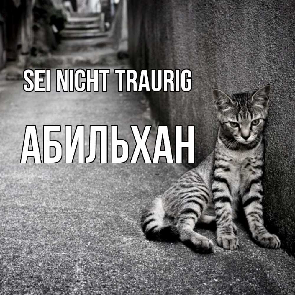 Открытка на каждый день с именем, Абильхан Sei nicht traurig скучающий котик Прикольная открытка с пожеланием онлайн скачать бесплатно 