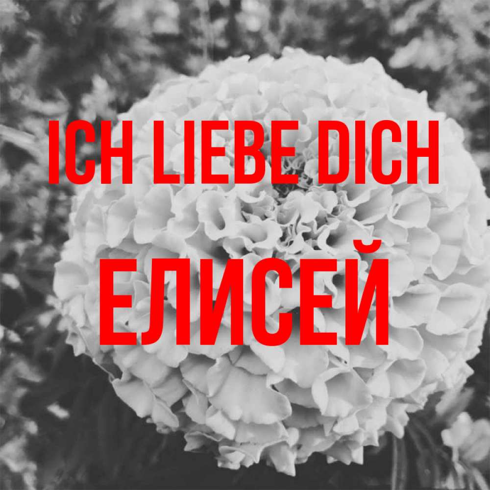 Открытка на каждый день с именем, Елисей Ich liebe dich подпись Прикольная открытка с пожеланием онлайн скачать бесплатно 