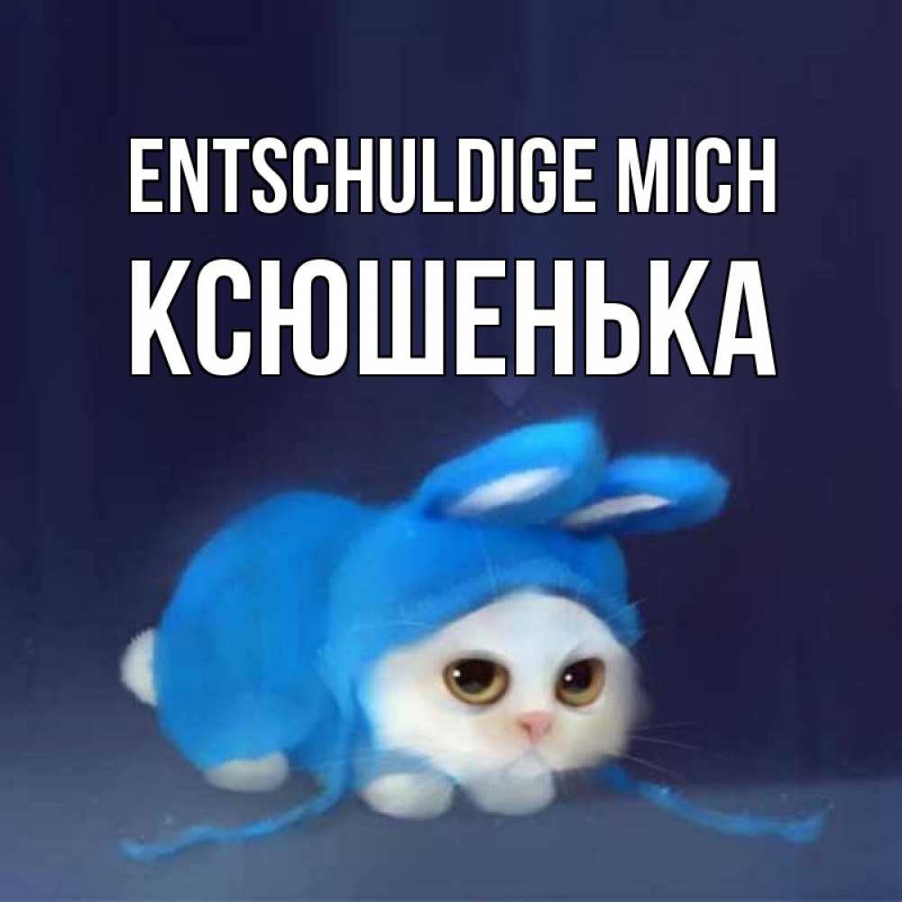 Открытка на каждый день с именем, Ксюшенька Entschuldige mich невинный котозай просит прощения Прикольная открытка с пожеланием онлайн скачать бесплатно 