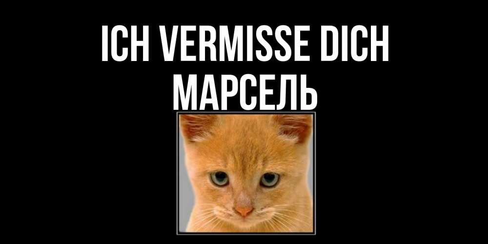 Открытка на каждый день с именем, Марсель Ich vermisse dich открытки рыжий котенок скучает по тебе Прикольная открытка с пожеланием онлайн скачать бесплатно 