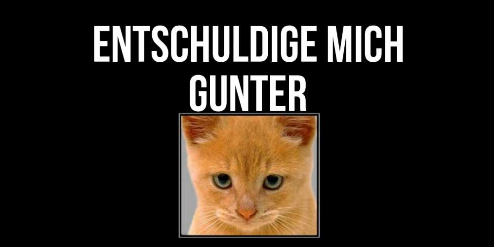 Открытка на каждый день с именем, Gunter Entschuldige mich рыжий грустный кот просит прощения Прикольная открытка с пожеланием онлайн скачать бесплатно 