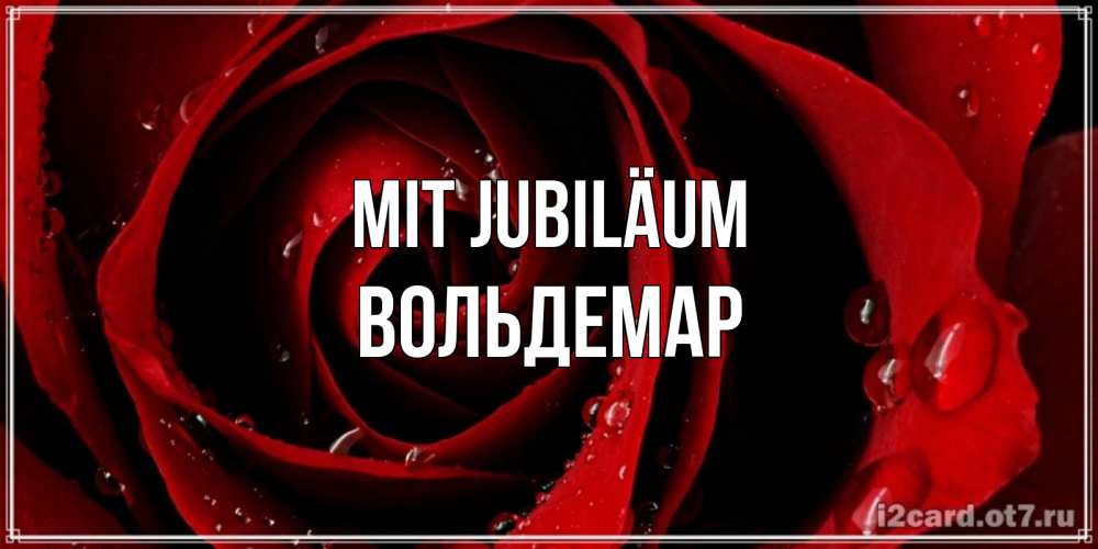 Открытка на каждый день с именем, Вольдемар Mit Jubiläum крупная бордовая роза Прикольная открытка с пожеланием онлайн скачать бесплатно 