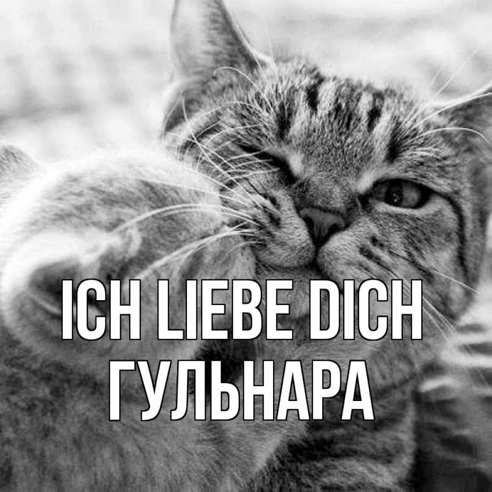 Открытка на каждый день с именем, Гульнара Ich liebe dich коты Прикольная открытка с пожеланием онлайн скачать бесплатно 