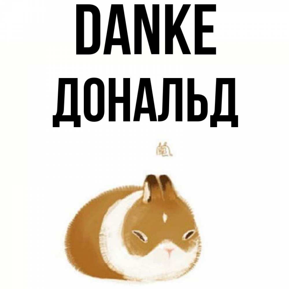 Открытка на каждый день с именем, Дональд Danke коричнево белый домашний питомец Прикольная открытка с пожеланием онлайн скачать бесплатно 