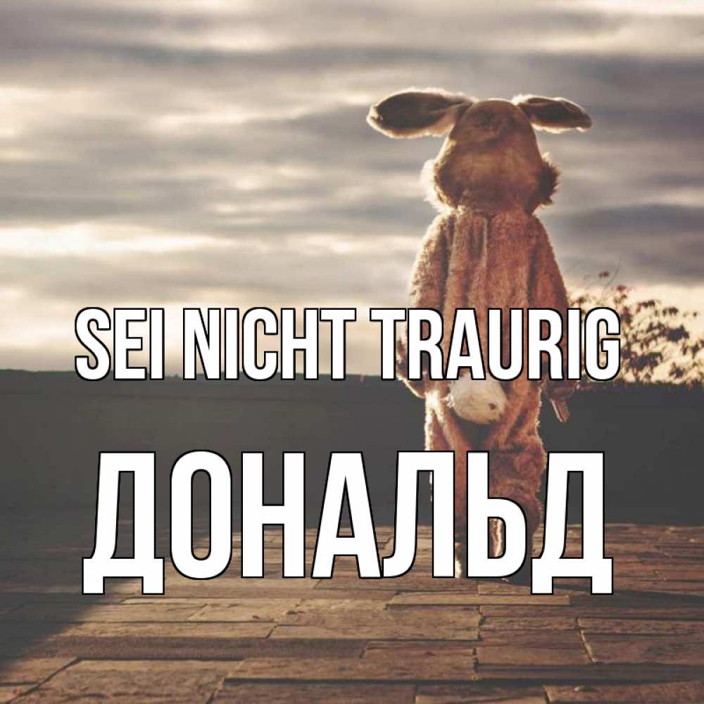 Открытка на каждый день с именем, Дональд Sei nicht traurig со спины Прикольная открытка с пожеланием онлайн скачать бесплатно 