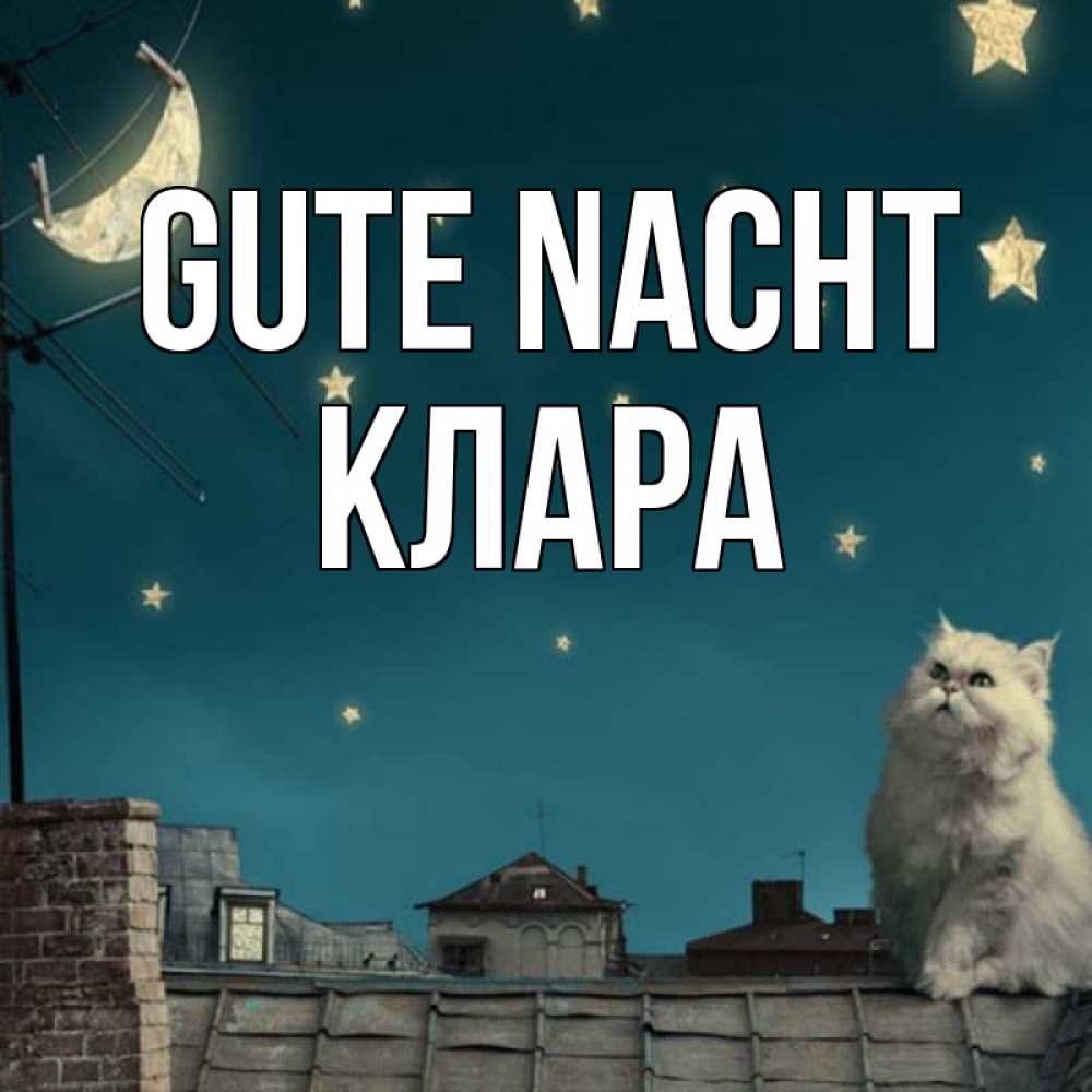 Открытка на каждый день с именем, Клара Gute Nacht белый кот сидит на крыше Прикольная открытка с пожеланием онлайн скачать бесплатно 