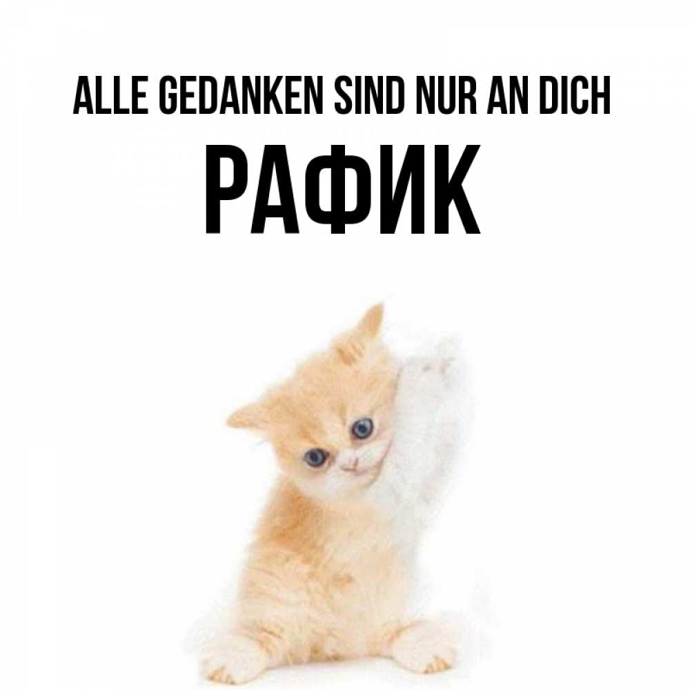 Открытка на каждый день с именем, Рафик Alle Gedanken sind nur an dich зверушки и милота Прикольная открытка с пожеланием онлайн скачать бесплатно 