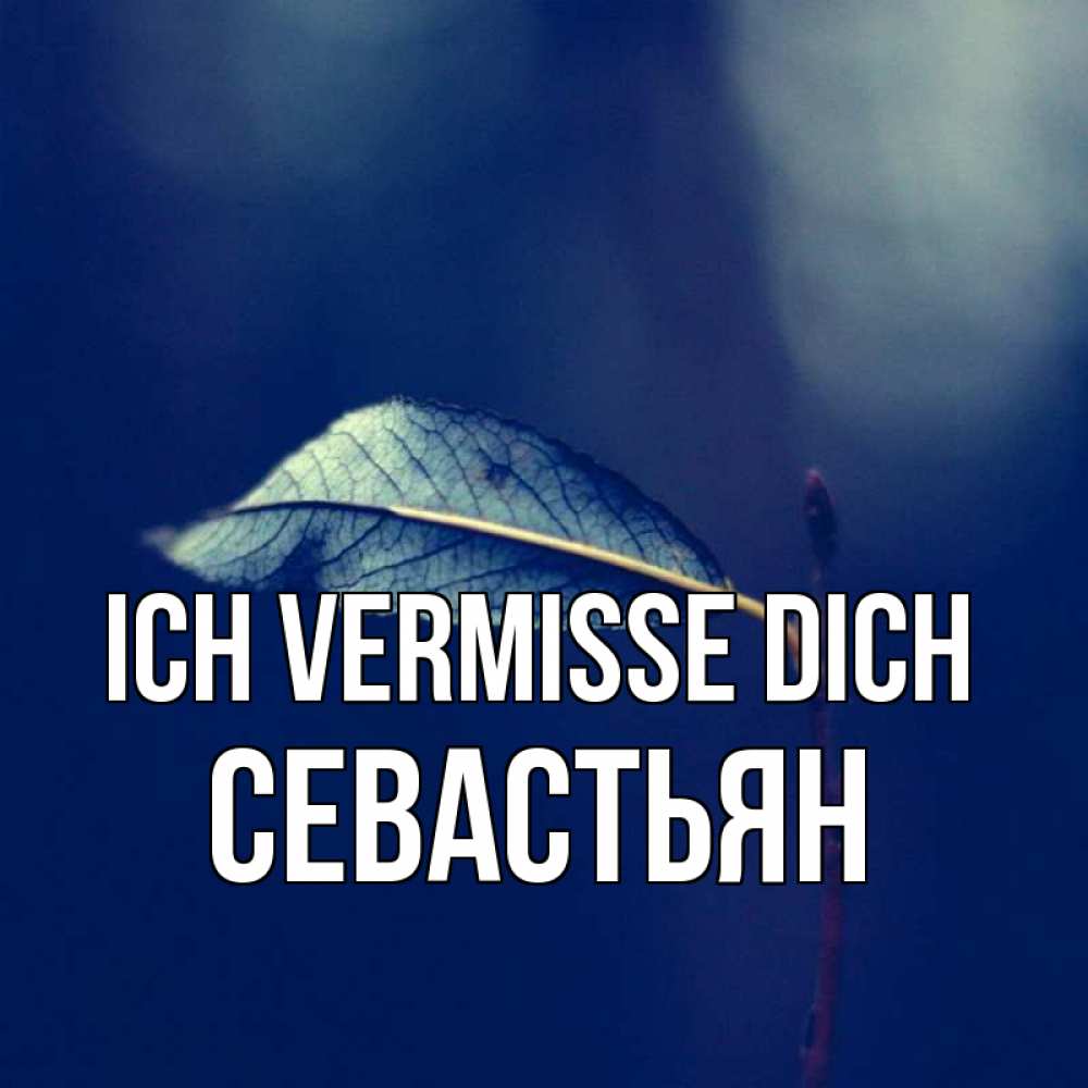 Открытка на каждый день с именем, Севастьян Ich vermisse dich одна ветка 1 Прикольная открытка с пожеланием онлайн скачать бесплатно 