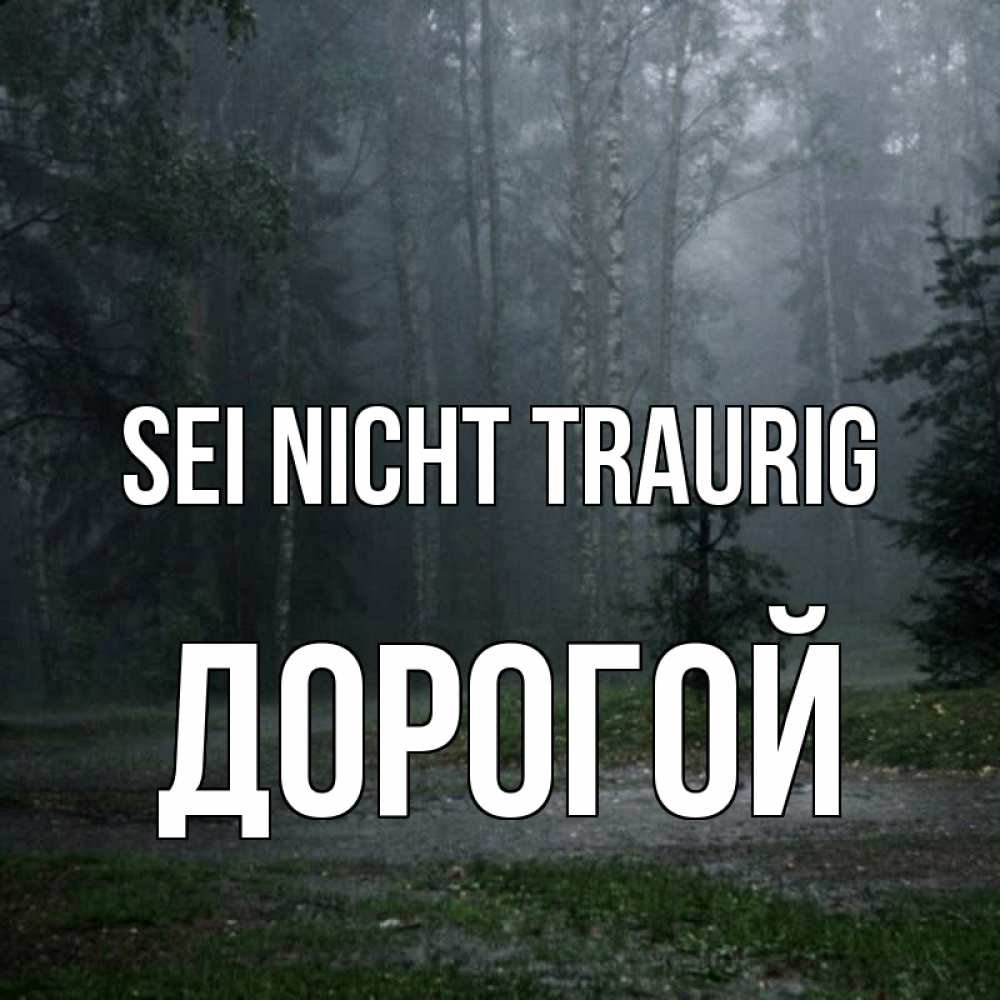Открытка на каждый день с именем, Дорогой Sei nicht traurig осень Прикольная открытка с пожеланием онлайн скачать бесплатно 