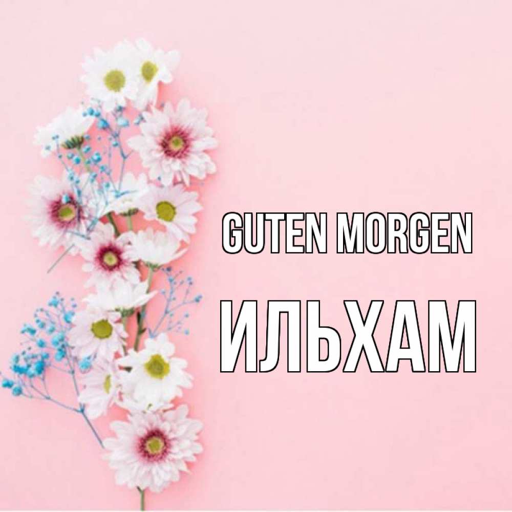 Открытка на каждый день с именем, Ильхам Guten Morgen цветы с подписью Прикольная открытка с пожеланием онлайн скачать бесплатно 