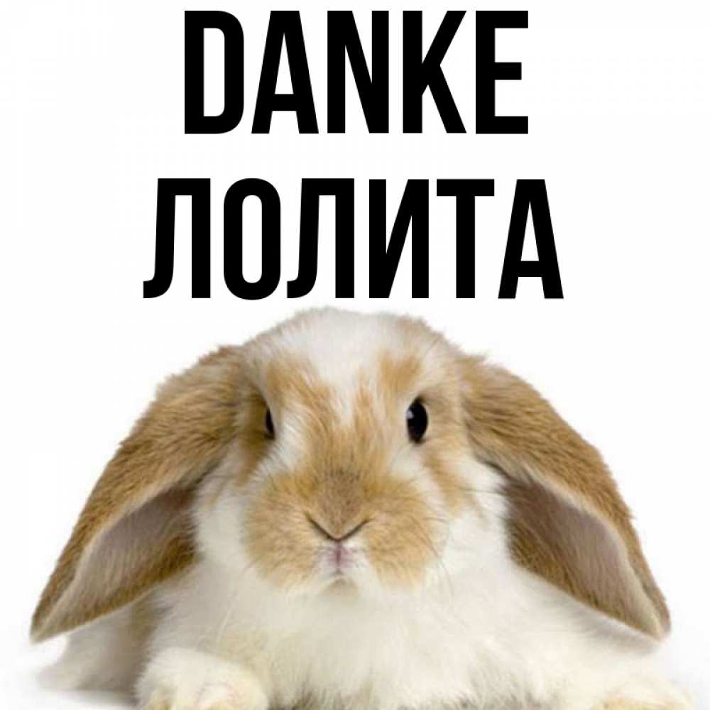 Открытка на каждый день с именем, Лолита Danke коричнево белый заяц Прикольная открытка с пожеланием онлайн скачать бесплатно 