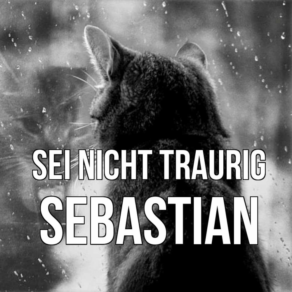 Открытка на каждый день с именем, Sebastian Sei nicht traurig отражение кота 1 Прикольная открытка с пожеланием онлайн скачать бесплатно 