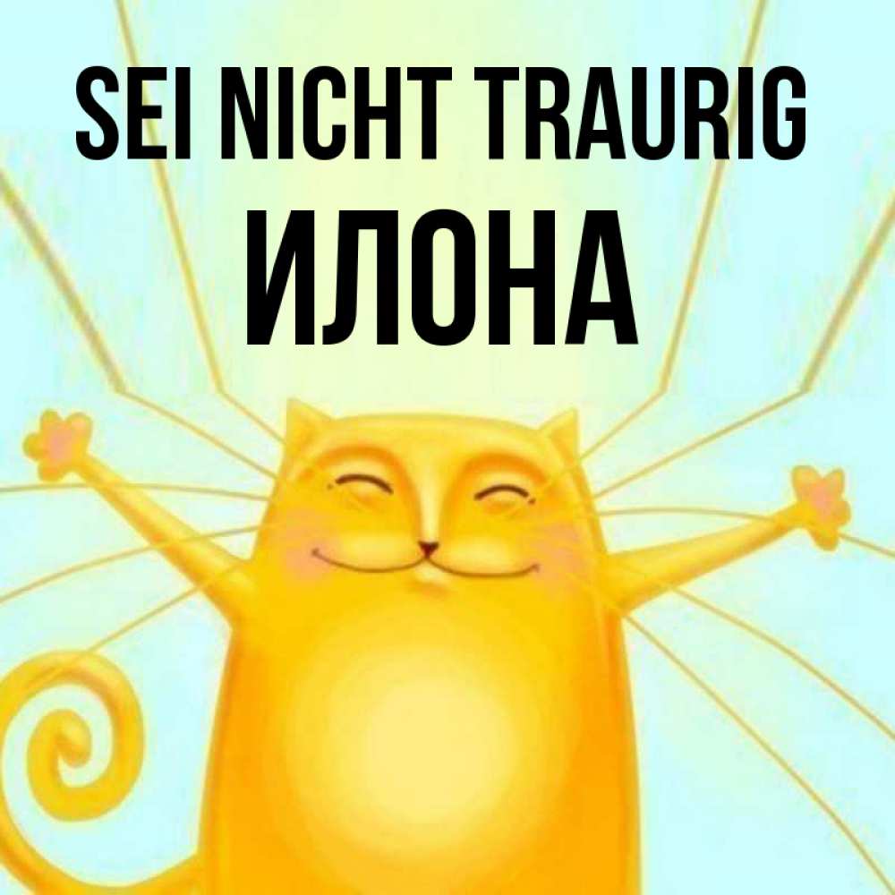 Открытка на каждый день с именем, Илона Sei nicht traurig обнимашки усатые Прикольная открытка с пожеланием онлайн скачать бесплатно 