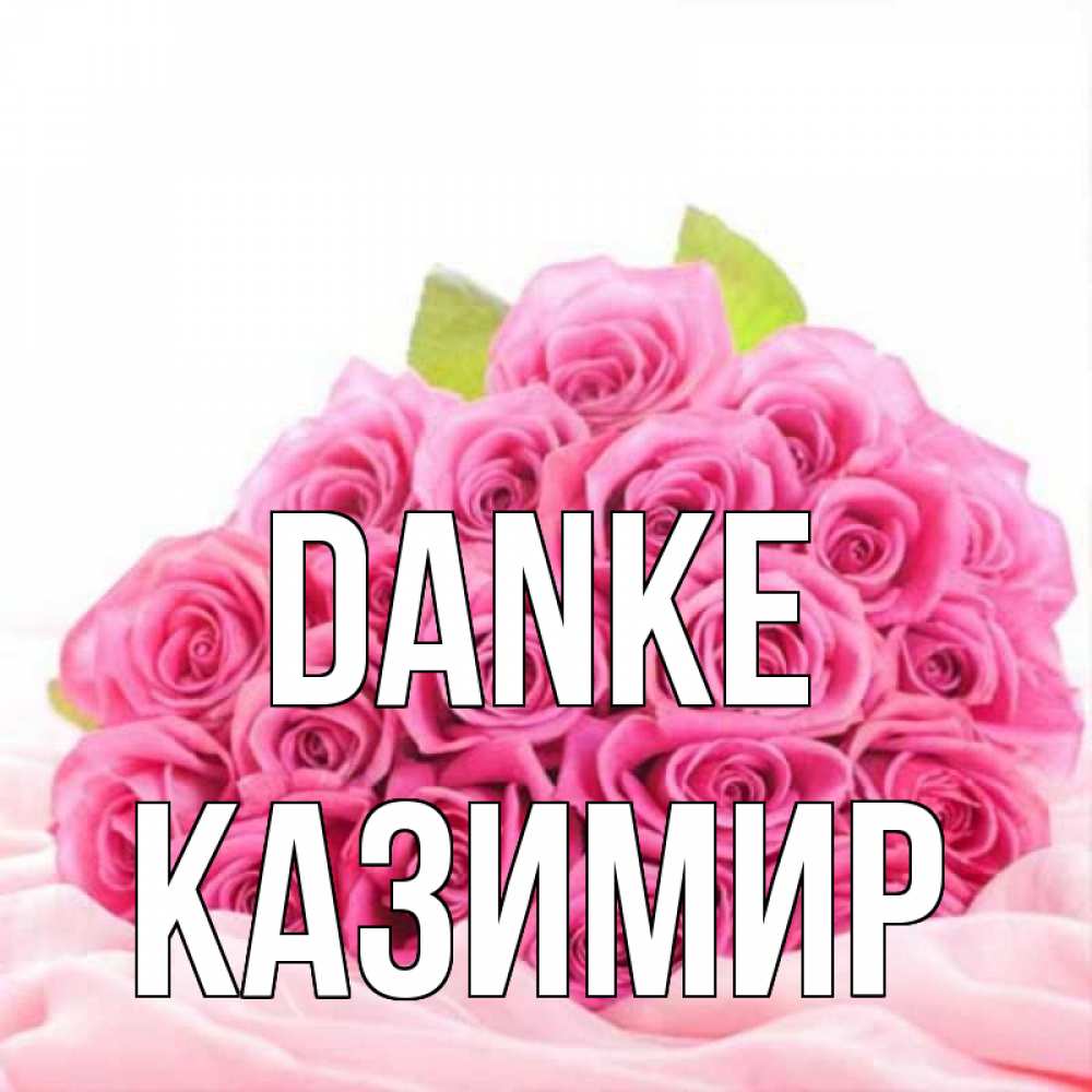 Открытка на каждый день с именем, Казимир Danke розовые розы с подписью Прикольная открытка с пожеланием онлайн скачать бесплатно 